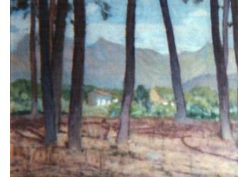 Paesaggio con Pini e Apuane Paesaggio con Pini e Apuane